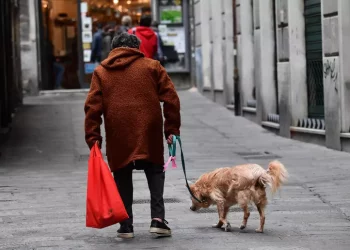 Istat, famiglie sempre più piccole, è solo 36,5% italiani