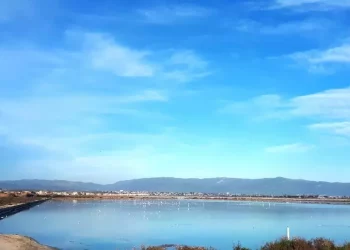 Transizione verde, 814 proposte per 2,2 miliardi di euro