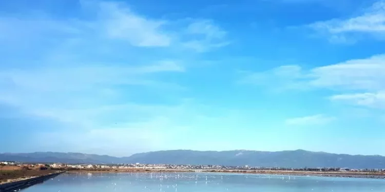 Transizione verde, 814 proposte per 2,2 miliardi di euro