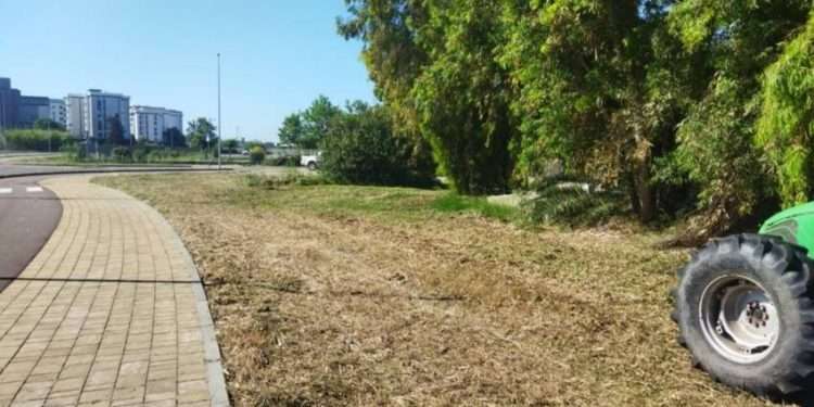 Oristano, rischio incendi: intensificati i controlli e sfalci già completati nel 70% delle aree comunali