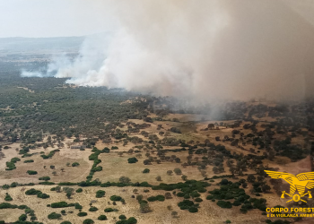 Vasto incendio a Dualchi: in azione elicotteri e due canadair