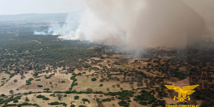 Vasto incendio a Dualchi: in azione elicotteri e due canadair
