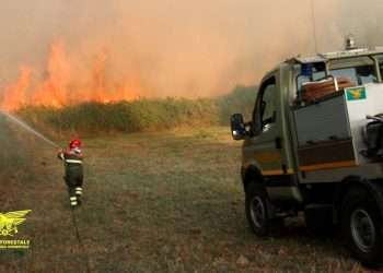Vasto incendio a Gonnosfanadiga: in azione l’elicottero del Corpo Forestale