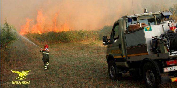 Incendi in Sardegna, sono 15 nelle ultime 24 ore