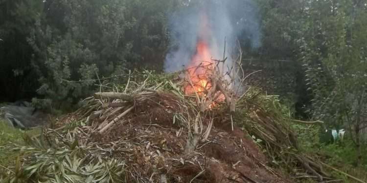 Cagliari, passa da “Alto” a “Medio” il pericolo di incendio per sabato 28 giugno 2025