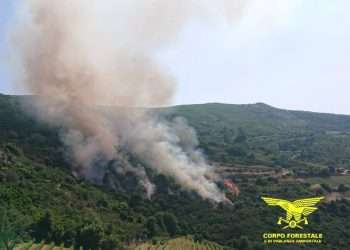 Fiamme in Sardegna, 25 incendi nelle ultime ore