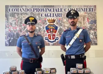 Nuovo sequestro di droga in una ditta di spedizioni a Cagliari