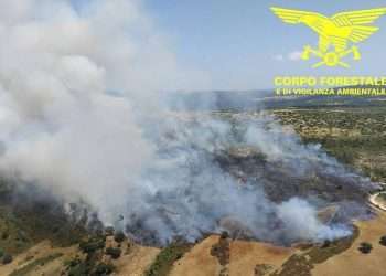 Incendio a Nurri: Vasto Rogo a “Su Nurazzolu”, In Azione Flotta Aerea Regionale e Nazionale