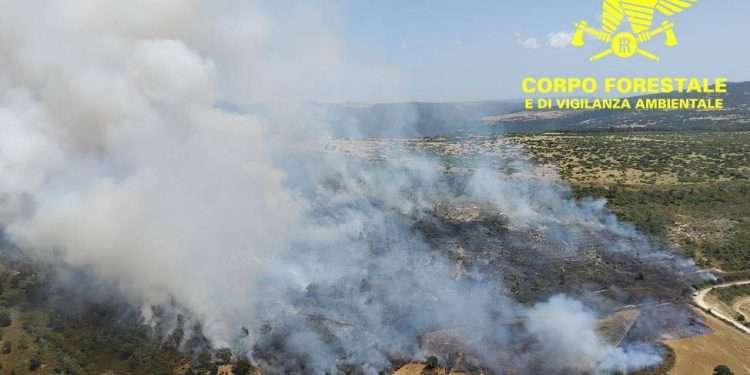 Incendio a Nurri: Vasto Rogo a “Su Nurazzolu”, In Azione Flotta Aerea Regionale e Nazionale