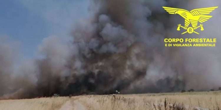 Incendio a Ozieri: Vasto Rogo a “Sa Tzo Candela”