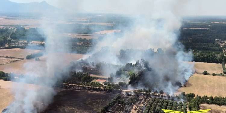 20 incendi in Sardegna nella giornata del 14 giugno