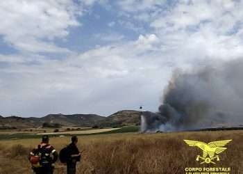 Fiamme in Sardegna, 20 incendi nell’isola