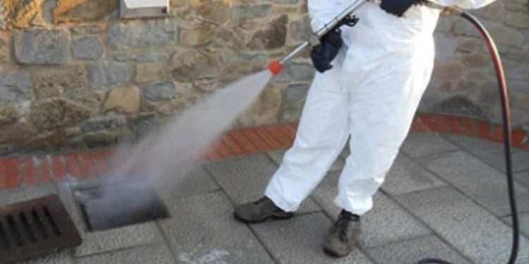 Dal 9 al 12 giugno programmati diversi interventi di deblattizzazione a Quartu