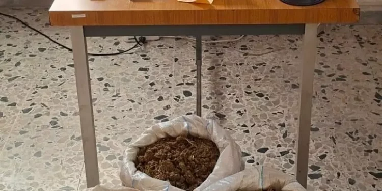 Nell’ovile quasi 9 chili di marijuana, arrestato a Sanluri
