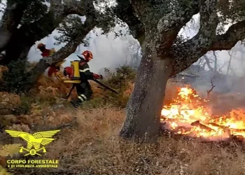 Arba riconfermato presidente di Confservizi-Cispel Sardegna