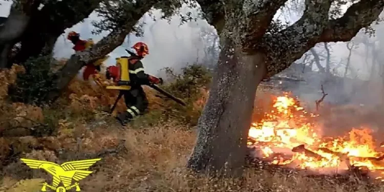 Arba riconfermato presidente di Confservizi-Cispel Sardegna