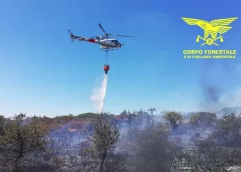 Ancora fiamme nel Nuorese, 250 ettari interessati dal fuoco