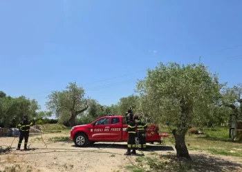 Incendio doloso alle porte di Sassari, arrestato un uomo