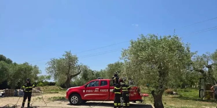 Incendio doloso alle porte di Sassari, arrestato un uomo