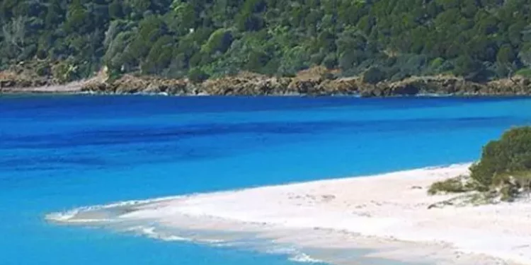 Cinque Vele Legambiente, il mare più bello a Domus De Maria