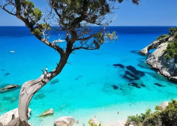 Consumatori, prezzi proibitivi, fino 950 euro per voli Sardegna