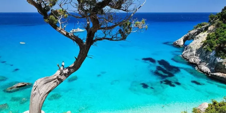 Consumatori, prezzi proibitivi, fino 950 euro per voli Sardegna