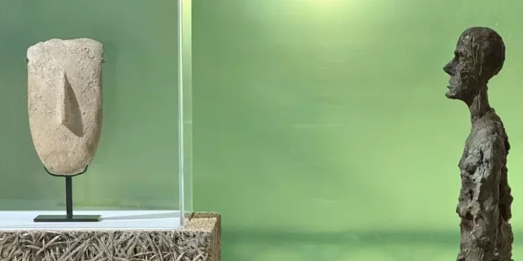 Il museo Man accoglie l’estate con tre proposte originali