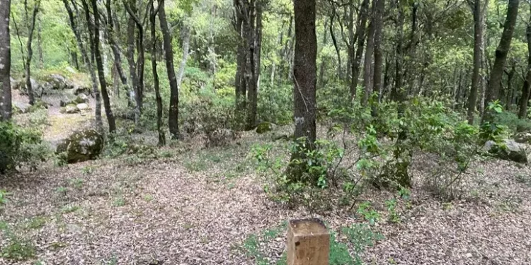 Un parco accessibile a chi ha mobilità ridotta o deficit visivi