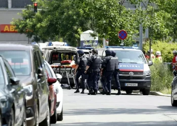 Otto morti in una sparatoria in una scuola in Austria