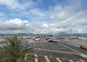 Nel camion senza frigo 100 kg di pesce, sequestrato a Olbia