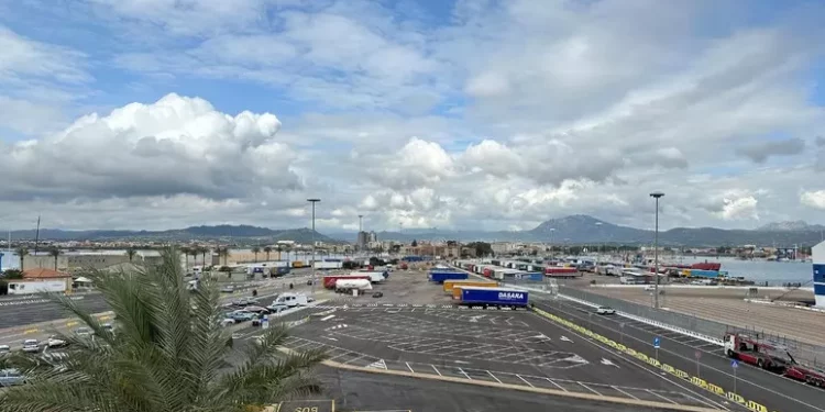 Nel camion senza frigo 100 kg di pesce, sequestrato a Olbia