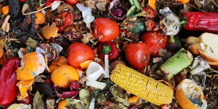 Spreco alimentare, progetto per educare le nuove generazioni