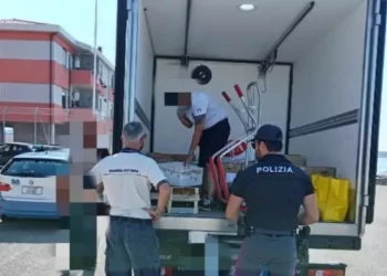 Tonno senza etichette sequestrato in un camion a Olbia