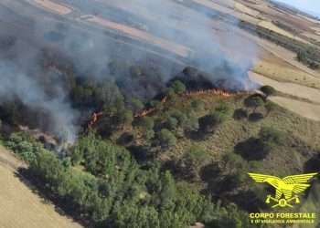 20 incendi in Sardegna nelle ultime ventiquattro ore
