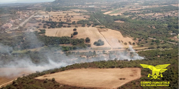 Fiamme in Sardegna, 16 incendi nelle ultime ore