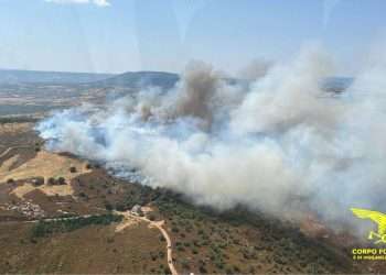  11 Incendi in Sardegna,  tre dei quali con l’intervento aereo
