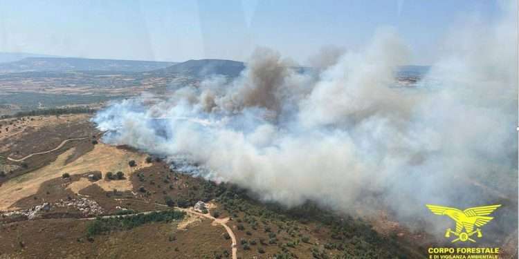 11 Incendi in Sardegna, tre dei quali con l’intervento aereo