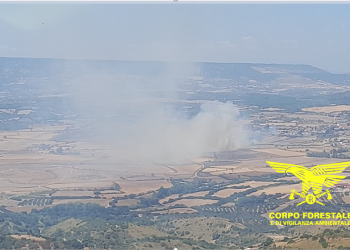 12 incendi in Sardegna nella giornata di domenica 20 luglio