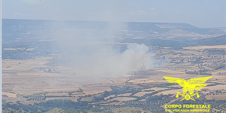 12 incendi in Sardegna nella giornata di domenica 20 luglio