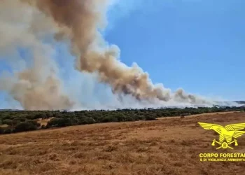 Incendi, 3 Canadair e 3 elicotteri in azione nel Sassarese