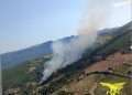 20 incendi in Sardegna nelle ultime ore