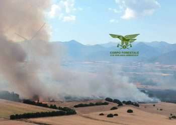Fiamme in Sardegna, 14 incendi nelle ultime ore