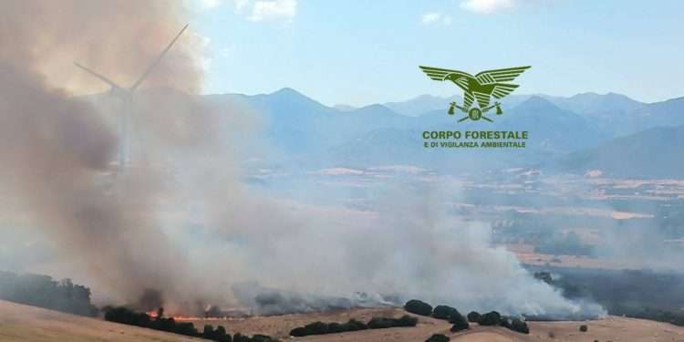 Fiamme in Sardegna, 14 incendi nelle ultime ore