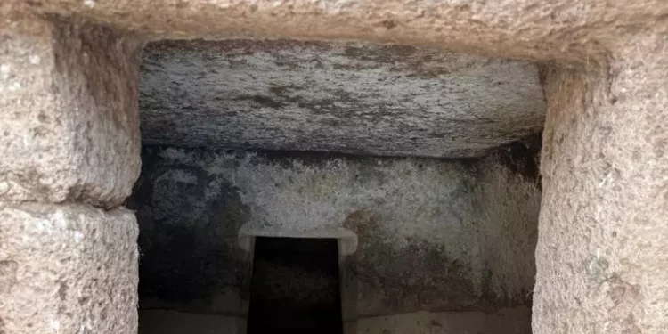 Scoperte tre nuove domus de janas in sito archeologico sardo