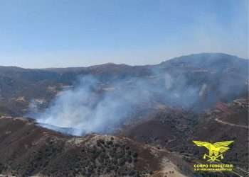 13 incendi in Sardegna nelle ultime ore