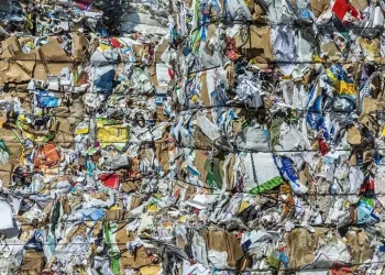 Vola la raccolta carta-cartone, 7 volte superiore a 30 anni fa