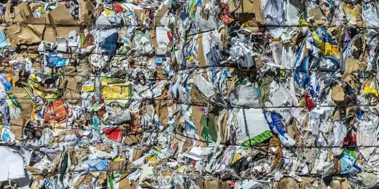 Vola la raccolta carta-cartone, 7 volte superiore a 30 anni fa