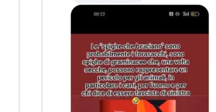 L’odio è contagioso e raggiunge anche pseudo artisti esoterici