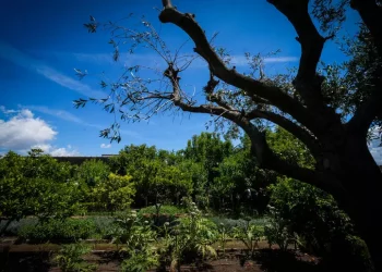 Istat, Italia arranca sullo sviluppo sostenibile