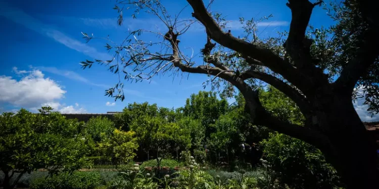 Istat, Italia arranca sullo sviluppo sostenibile